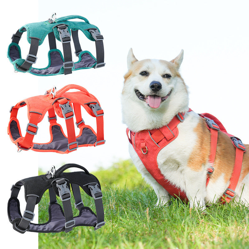 Small-sized dogs on the chest and back area