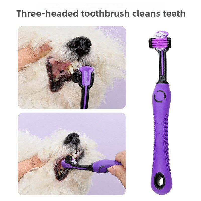Pet Grooming Tool Set with Comb and Nail Clippers