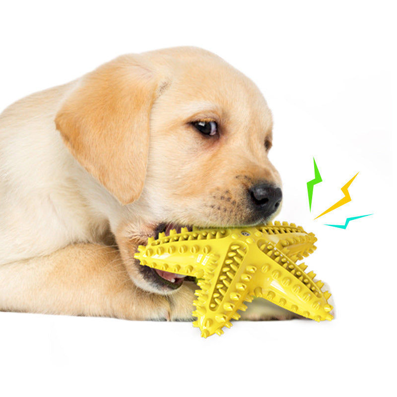 Pet Dental Chew Toy