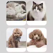 One‑Touch Self‑Cleaning Pet Slicker Brush