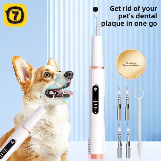 Ultrasonic Pet Dental Calculus Remover