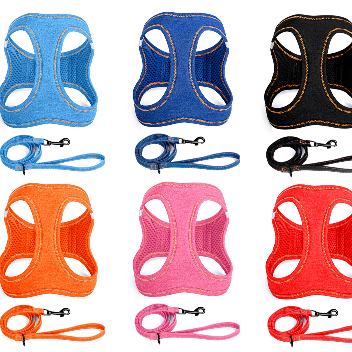 dog leash