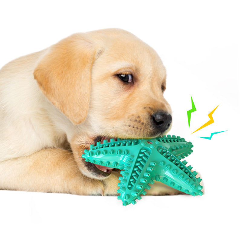 Pet Dental Chew Toy