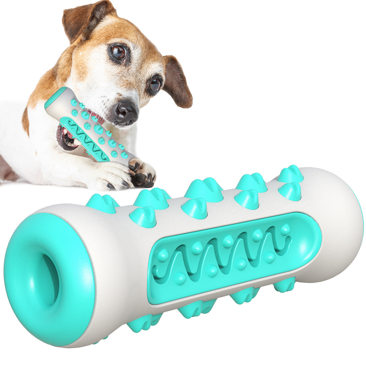Pet Dental Chew Toy