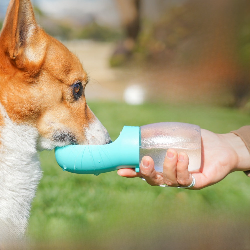Portable water bottle for pets