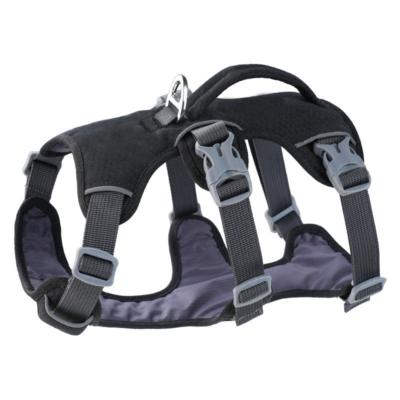 Small-sized dogs on the chest and back area