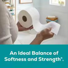 2-Ply Toilet Paper 4 Mega Rolls 320 Sheets Per Roll Soft Bathroom Tissue