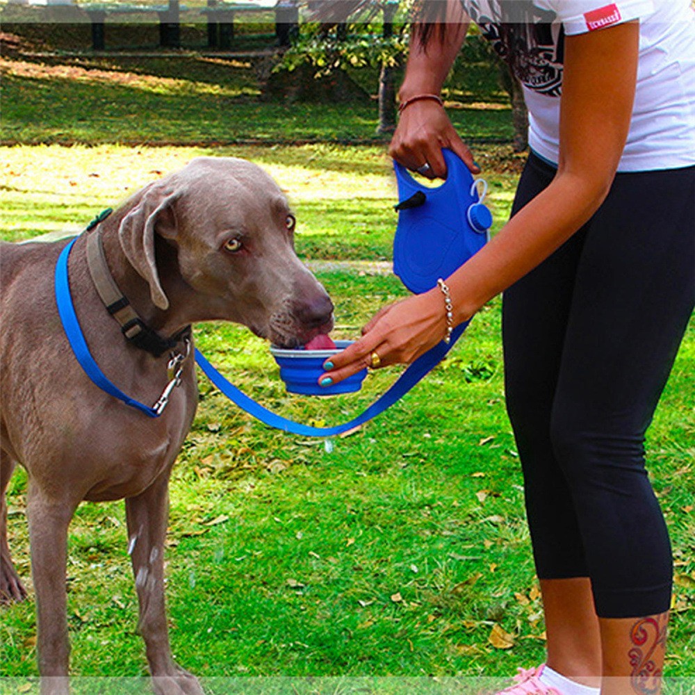 Multifunctional Dog Leash, Three-In-One Portable Pet Leash