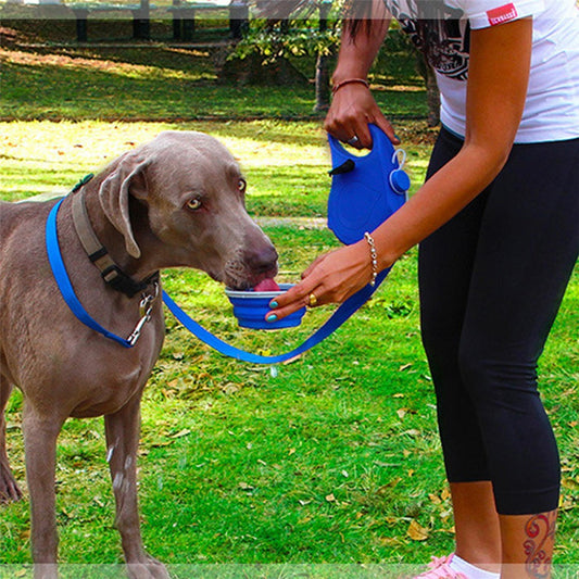 Multifunctional Dog Leash, Three-In-One Portable Pet Leash