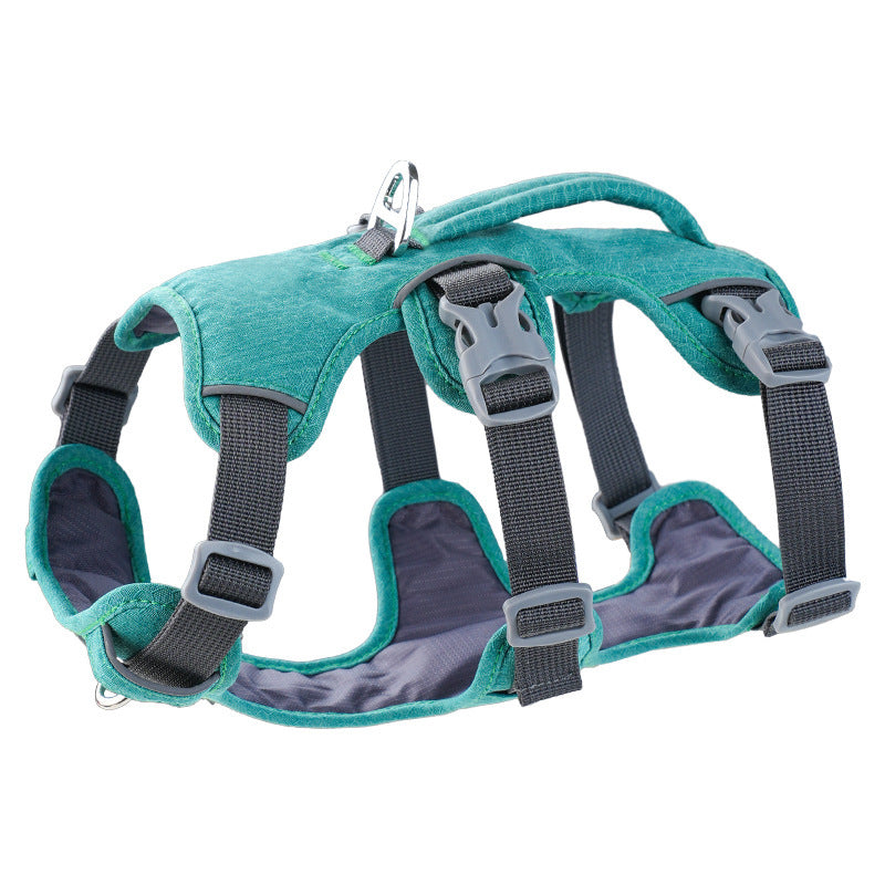 Small-sized dogs on the chest and back area