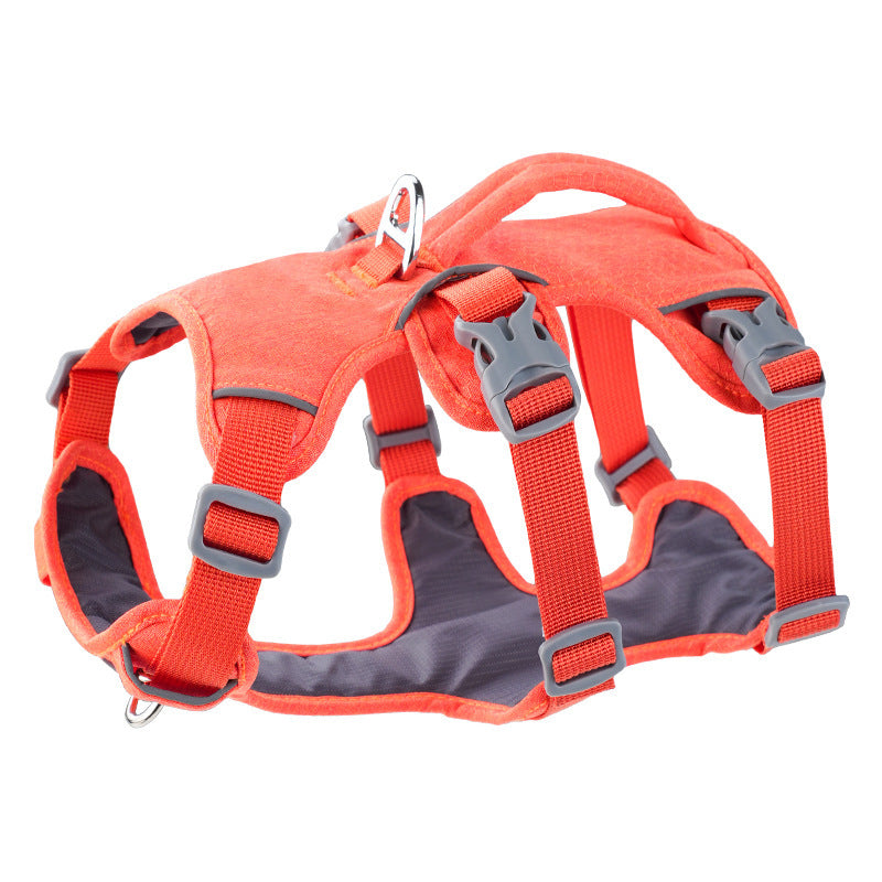 Small-sized dogs on the chest and back area